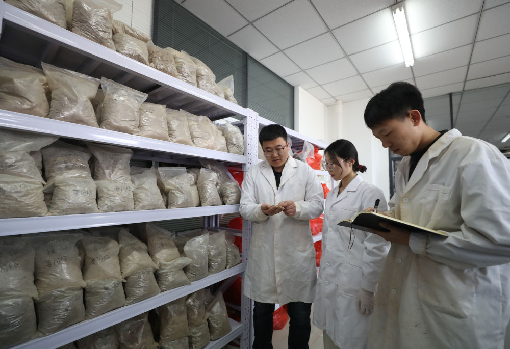 新华全媒＋丨探访p站视频
土肥高效利用国家工程研究中心