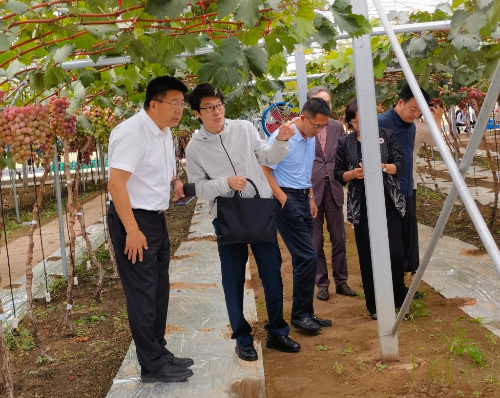 学校党委书记刘广林看望“鲅鱼圈葡萄科技小院”工作学习的p站视频师生